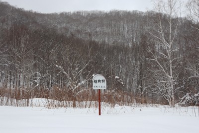 北海道・鴻之舞金山跡で高密度の金鉱石発見 外資系企業の試掘で