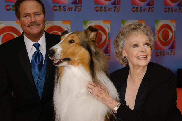 米俳優のジューン・ロックハートさんが死去 「名犬ラッシー」に出演
