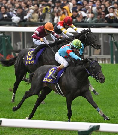 競馬の菊花賞、エネルジコが優勝　Ｇ１初制覇で重賞２勝目