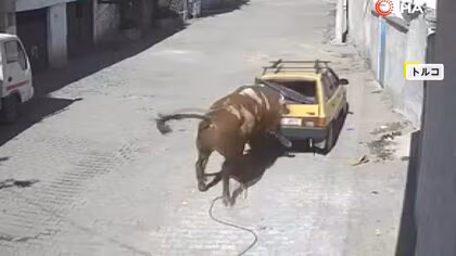 間一髪 “巨大な岩”崩落の瞬間 斜面でショベルカーが岩の塊を…暴れ牛で街が大混乱も トルコ