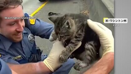 NY地下鉄のホーム下から子犬を救出!ペットホテルから脱出し迷子に…高速道路では子ネコ救出 アメリカ