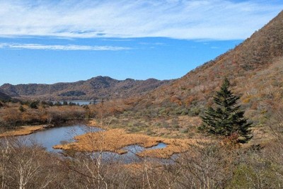 「ほぼの駅」　赤城山頂駅舎、改修で再出発　糸井重里さん会社が運営