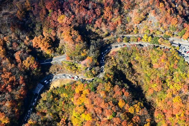 奥日光で紅葉見頃　寒さで一気に色づいた「いろは坂」や中禅寺湖周辺