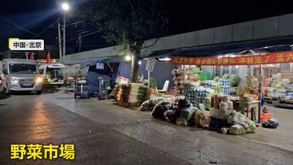 タダで野菜ゲット？中国で“市場の野菜拾い”ブームに「たくさん取れた」SNSでバズり袋持ちウロウロ…衛生上の問題も