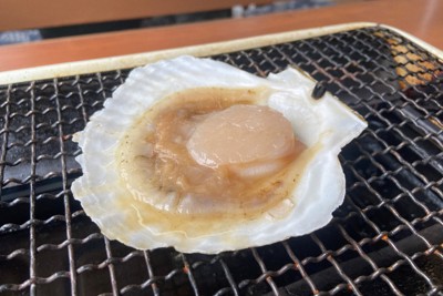 ＜1分で解説＞国産ホタテ中国輸出再開　国内3業者のみOK　基準は