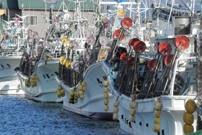 スルメイカ漁が再開へ　要望相次ぎ異例対応、資源調査で　北海道