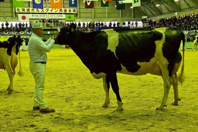 「乳牛のオリンピック」　千葉県代表で30年ぶり優等賞1席