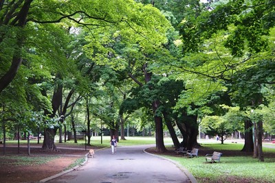 札幌市、円山公園全域を2週間閉鎖　付近でのヒグマ出没受け