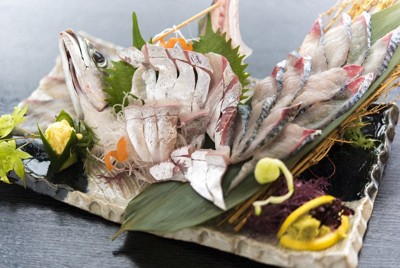 完全養殖の「唐津Qサバ」、大量死で今季出荷できず　海水温上昇で