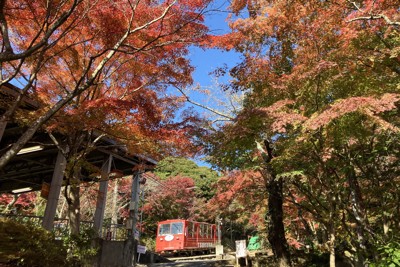 錦秋の筑波山を走るケーブルカー　開業100周年、記念事業も