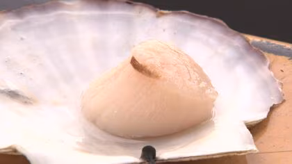 【またか…】中国政府が日本産水産物を事実上の“輸入停止” 水産加工業者からは「こじつけだよ」嘆きの声も…道産ホタテ再び影響か…2023年の輸入停止では450億円分のホタテが行き場を失うも今回は？北海道