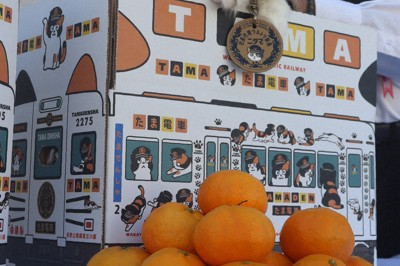 和歌山電鉄2代目猫駅長「ニタマ」死ぬ　ローカル線PRに貢献