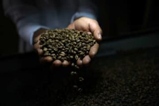 ブラジル産の農産物を関税除外に　コーヒーや牛肉など追加40％分