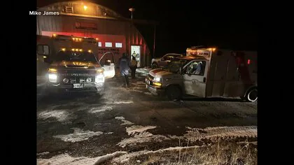 校外学習中の子どもと教員がクマに襲われ11人ケガ…「グリズリー」か　クマよけスプレーなどで撃退　カナダ西部