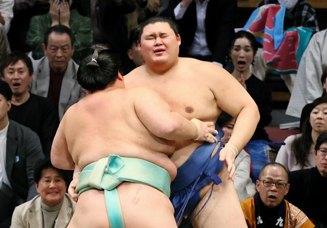 横綱・大の里が千秋楽を休場、優勝争い中　対戦予定の豊昇龍は不戦勝