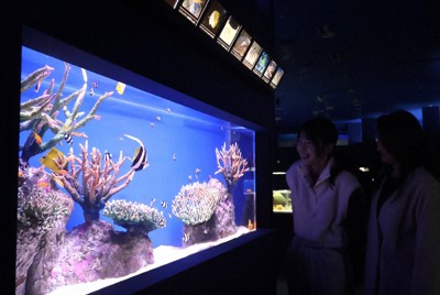 広島のシン・マリホ水族館　報道向けに公開　12月2日開館