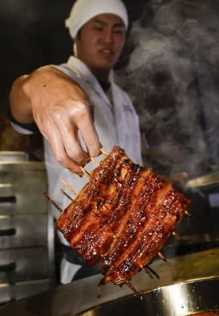 EU案のウナギ国際取引規制否決　日本が反対、ワシントン条約会議