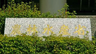 農業経営体数、初の１００万割れ＝５年で２３％減、法人は増加―農水省調査