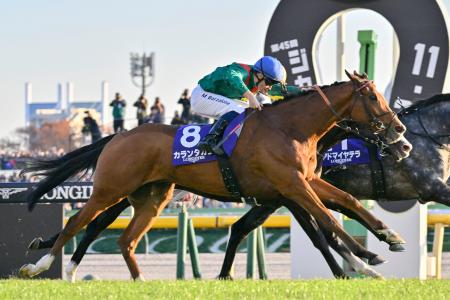 ４番人気のカランダガンが優勝　競馬のジャパンカップ