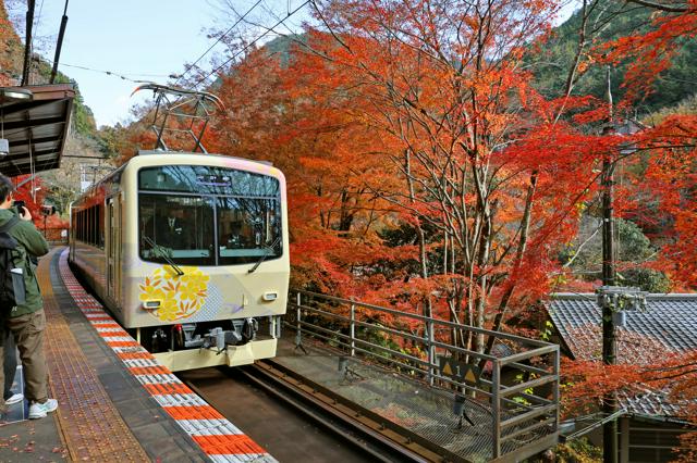 新しい展望列車「舞」で鞍馬へどうぞ　開業100年の京都・叡山電車