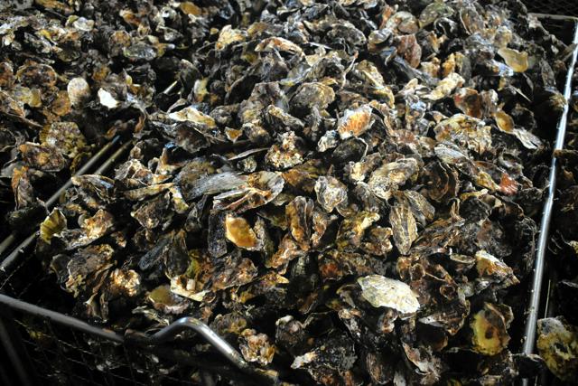 カキ大量死、広島県内の業者30億円規模借り入れへ　県が利子負担