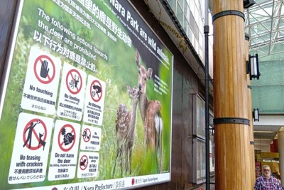 「鹿せんべいでじらさない」　奈良公園の「シカマナー」、看板で周知
