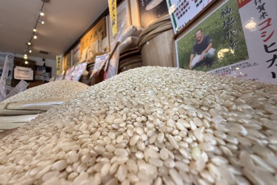 ＜1分で解説＞5キロ4335円　どうしてコメ価格が過去最高に?