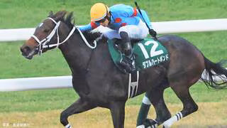 ダブルハートボンド、チャンピオンズカップ制す ！ ウィルソンテソーロとの大接戦を写真判定で勝利【競馬 GI】