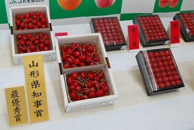 収穫量、平成以降で最低に　25年の山形県産サクランボ　平年の65％