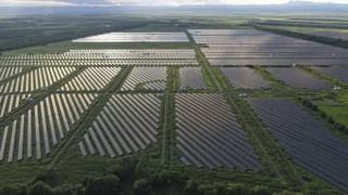 政府、メガソーラー安全性確保へ　厳格に監視、生物への影響抑制