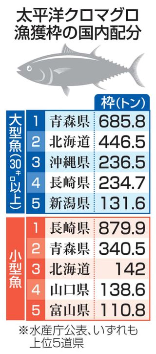 クロマグロ漁獲枠、配分据え置き　26年度、大型魚は青森が最多