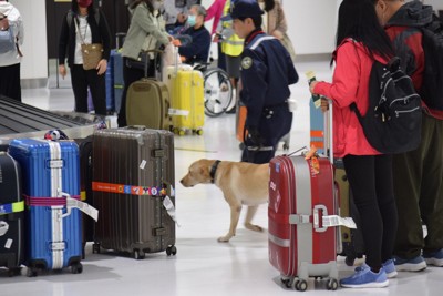 神戸空港国際便が好調　訪日客の市内宿泊増に寄与　中国便には懸念