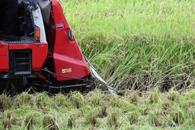 コメの民間備蓄制度、28年4月施行を想定　農水省案の概要判明