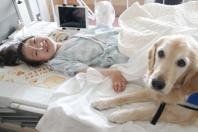 ファシリティードッグ、つながるバトン 入院中の子どもたちの支えに