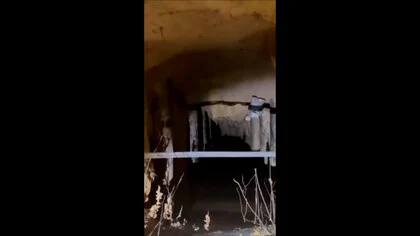 ポーランドに180人超の移民が不法越境&hellip;ベラルーシ国境の&ldquo;森に隠されたトンネル&rdquo;通る　これまでに130人超を拘束