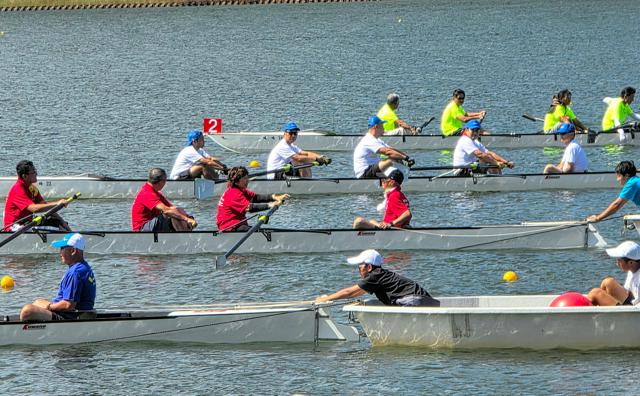 ローイングでまちを元気に　兵庫・豊岡が地域おこし協力隊員募集
