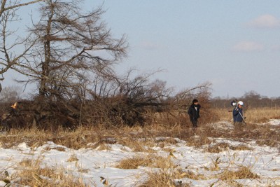 釧路のメガソーラー設置予定地、事業者が樹木伐採を開始　住民は反対