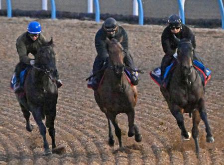 レガレイラは強めの調整　競馬の有馬記念最終追い切り