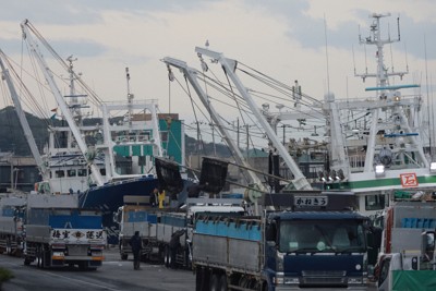 銚子漁港、水揚げ量が3年ぶり日本一の見通し　イワシ好調で