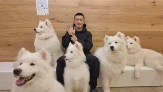 【カープ】【矢野さんぽ】2026年の元旦でも矢野が広島の街をめぐる！ここでしか見られない姿が盛りだくさん⁉