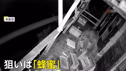 クマが家の手すりをくぐりバルコニーに侵入&hellip;ハチミツが狙われる　被害は翌日にも　住人「食べ尽くされた」　トルコ