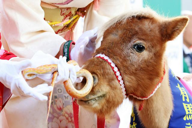 「インフレともうま（午）く折り合いを」　通天閣で干支の引き継ぎ式