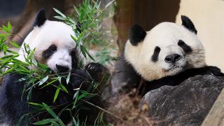 2025年12月　日本の出来事