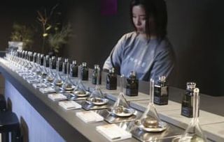 イカの町でハーブ精油　佐賀、コスメ産業振興へ