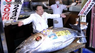 【動画】初競りマグロ、５億１０３０万円　史上最高値、すしざんまい落札　東京・豊洲市場