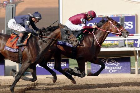 フォーエバーヤングが代表馬受賞　２５年度ＪＲＡ賞