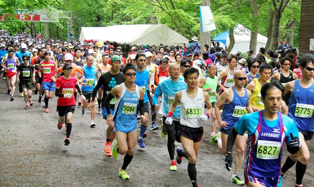 北海道の人気大会「千歳JAL国際マラソン」クマ影響で26年は中止
