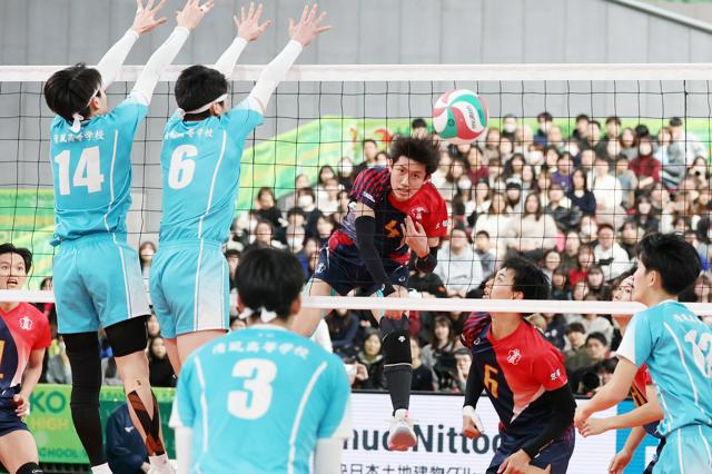 男子は東山が高橋藍以来の優勝、女子は金蘭会が「2冠」　春高バレー