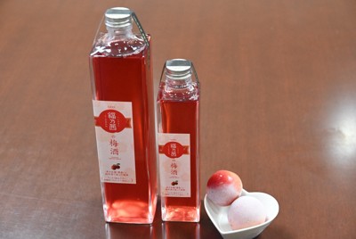 2025年製造分はほぼ完売　真っ赤な梅酒「福乃茜」　福島・飯野町
