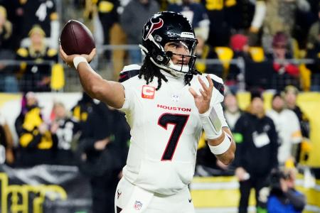 テキサンズが準決勝進出　ＮＦＬプレーオフ